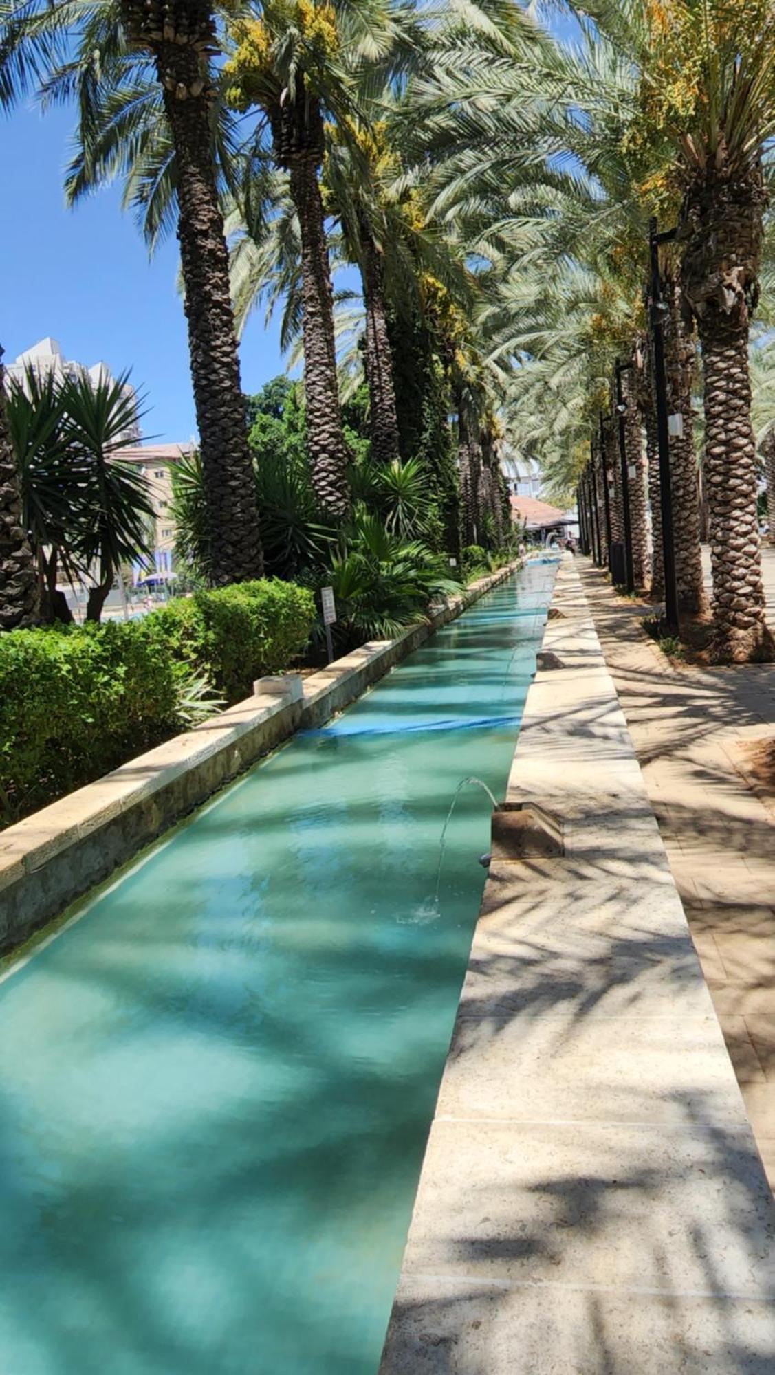 יחידת דיור Rishon LeZion Quarto foto